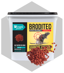 Broditec blé