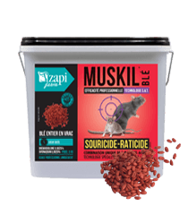 Muskil blé