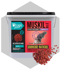 Muskil blé