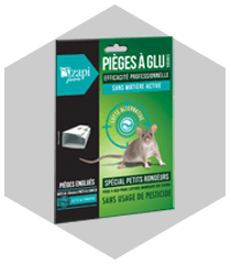 Piège à glu pour souris